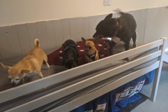 MVIMG_20191026_130142