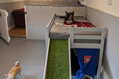 MVIMG_20191026_130655