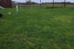 MVIMG_20191026_131011