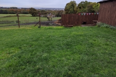 MVIMG_20191026_131203