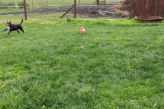 MVIMG_20191026_131208