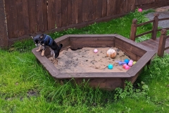 MVIMG_20191026_131608