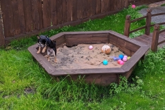 MVIMG_20191026_131610