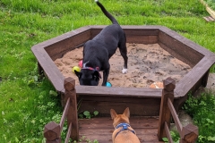 MVIMG_20191026_131646