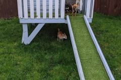 MVIMG_20191026_131943