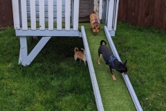 MVIMG_20191026_131948