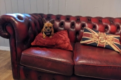 MVIMG_20191026_135424